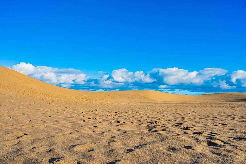 Picture 6 for Activity Tottori Sand Dunes, Conan Town & Okayama Peach Picking Tour 5