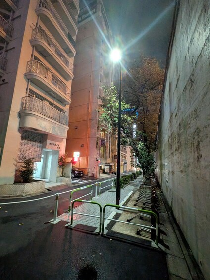 Picture 1 for Activity Tokyo: Otsuka Nightlife Tour with Izakayas, Bars and Snacks 2