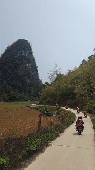 A rural road with motorcyclists wearing orange vests. 2