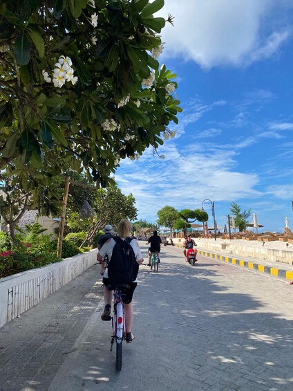 Picture 3 for Activity Gili Trawangan: Bicycle Explorer, Private Snorkeling & Lunch 2