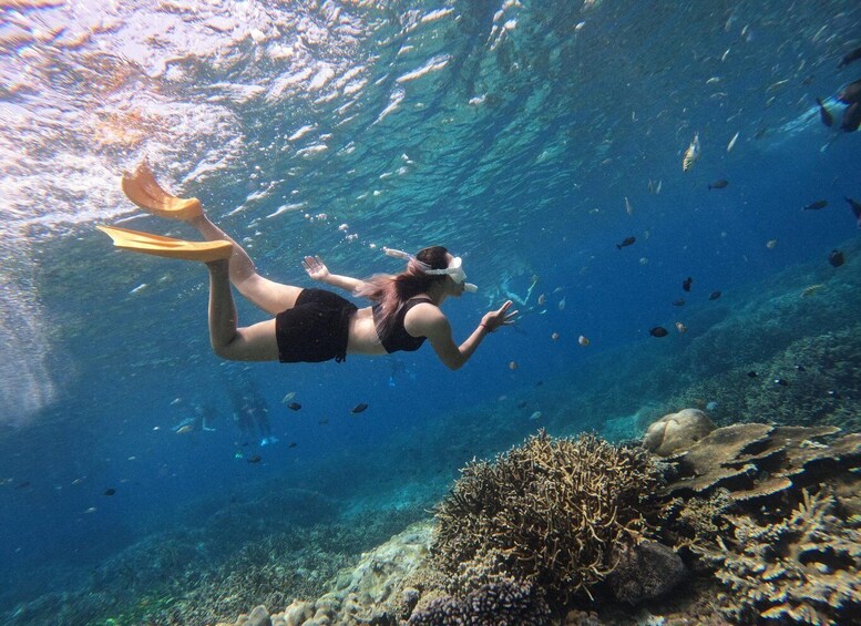 Picture 6 for Activity Gili Trawangan: Bicycle Explorer, Private Snorkeling & Lunch 3
