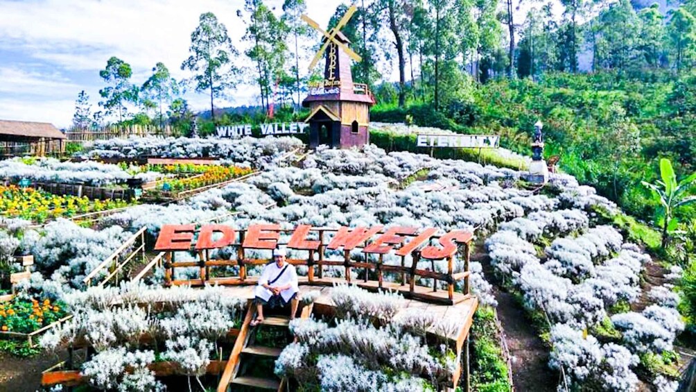 Picture 8 for Activity Bali: From Sacred Peaks to the Valley of Eternal Blooms 4