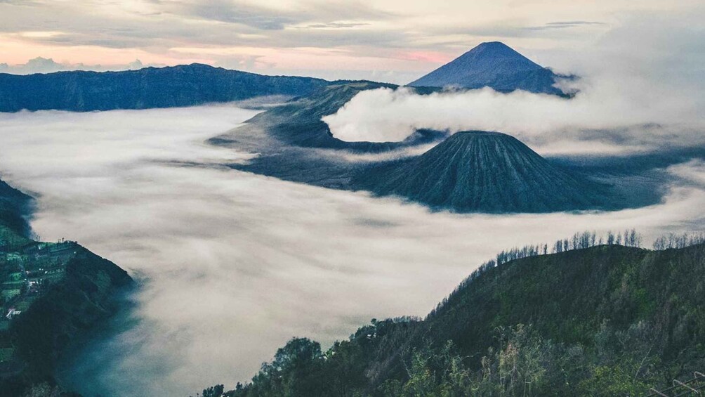 Picture 7 for Activity Mount Bromo Sunrise: Midnight Tour from Malang 4