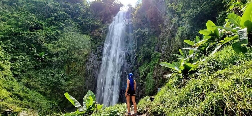 A person standing on a path looking at a waterfall in a lush, green forest. 1