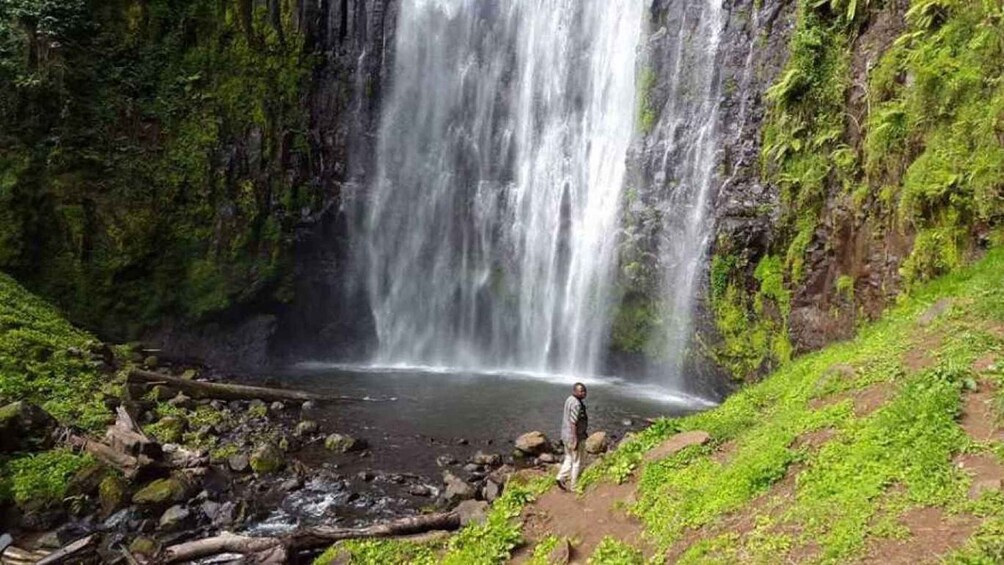 Picture 1 for Activity Arusha: Materuni Waterfall, Coffee Tour, and Hot Springs 2