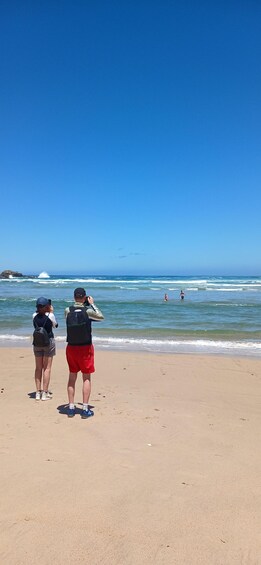 Picture 2 for Activity Plettenberg Bay: Robberg Nature Reserve Guided Hike 5