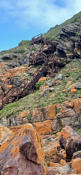 Picture 1 for Activity Plettenberg Bay: Robberg Nature Reserve Guided Hike 2