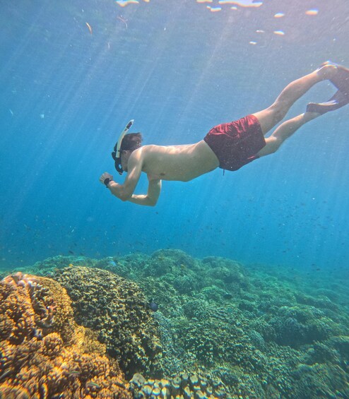 Picture 3 for Activity Snorkeling Menjangan Island Tours 5