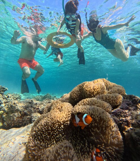 Snorkeling Menjangan Island Tours 2