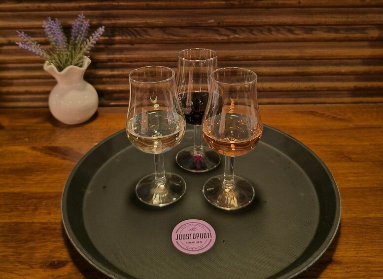 Turku: Finnish Wine and Cheese Tasting at Market Hall 1