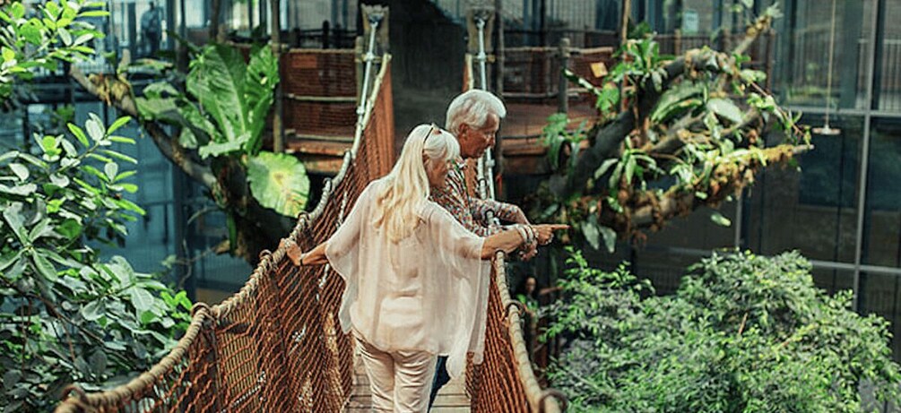 Picture 2 for Activity Gothenburg: Universeum & Haga Private Day Tour with Guide 2