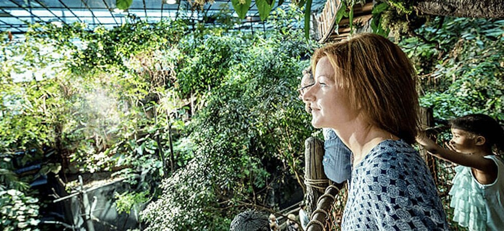 Picture 5 for Activity Gothenburg: Universeum & Haga Private Day Tour with Guide 3