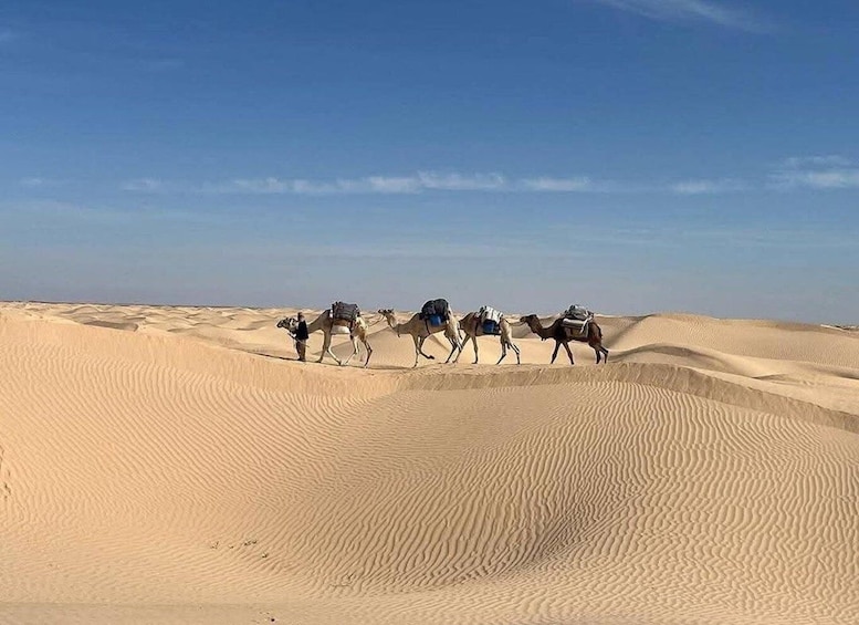 A group of camels with riders traversing a sandy desert landscape. 5