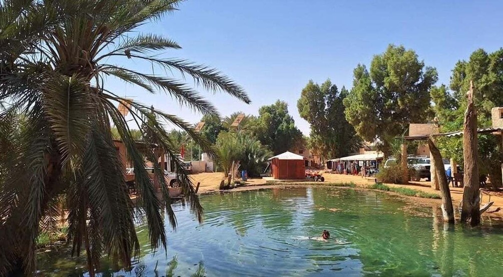 A clear water body with a swimmer, palm trees, and a small building in the background. 2