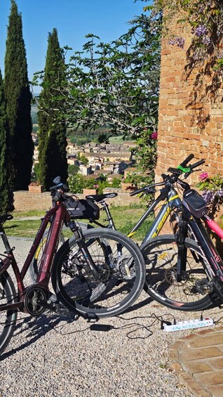 Picture 8 for Activity Arezzo: E‑Bike Adventure, Truffle Hunt & Tasting 2