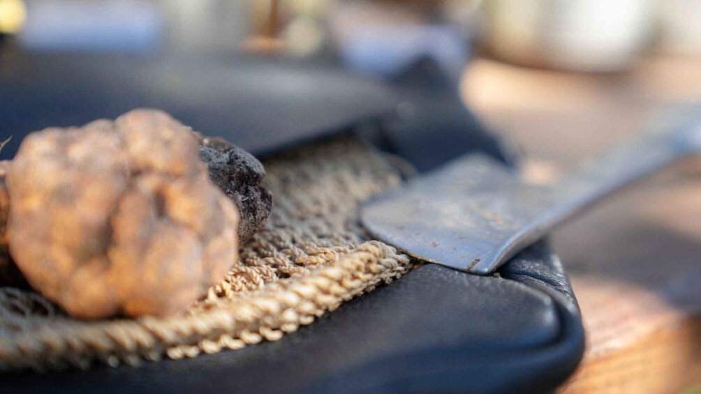 Picture 5 for Activity Arezzo: E‑Bike Adventure, Truffle Hunt & Tasting 1