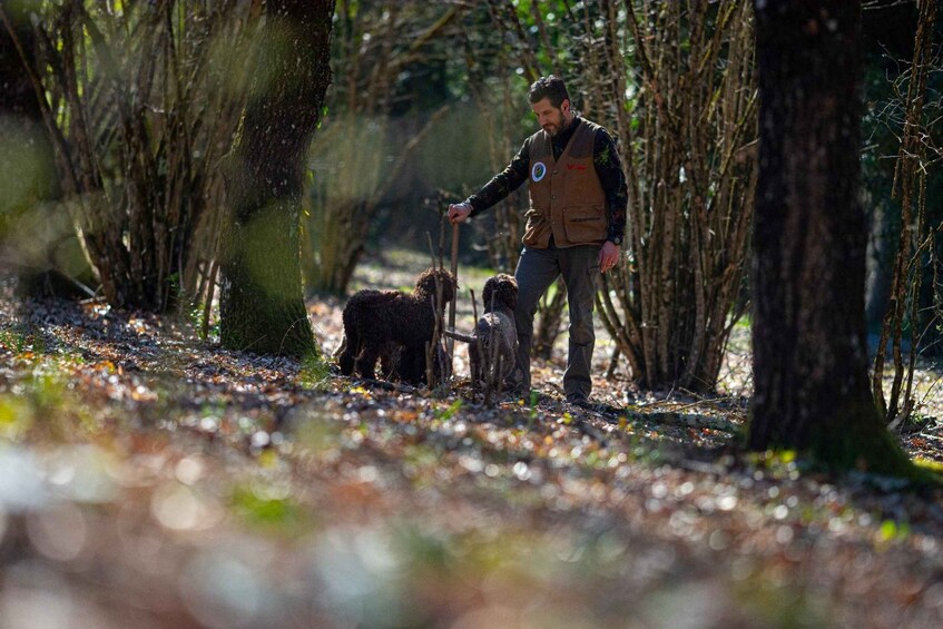 Arezzo: E‑Bike Adventure, Truffle Hunt & Tasting 5