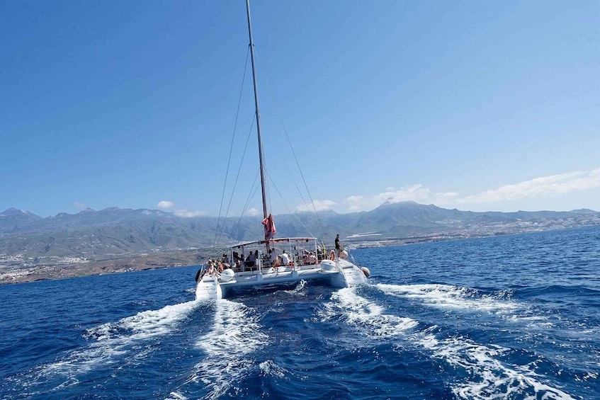 Picture 2 for Activity Tenerife: 4-Day Tour with Cruise, Wine Tasting & Snorkeling 1