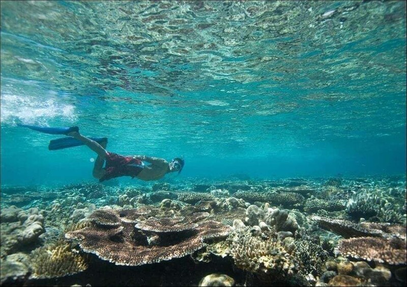 Picture 1 for Activity Tenerife: 4-Day Tour with Cruise, Wine Tasting & Snorkeling 3