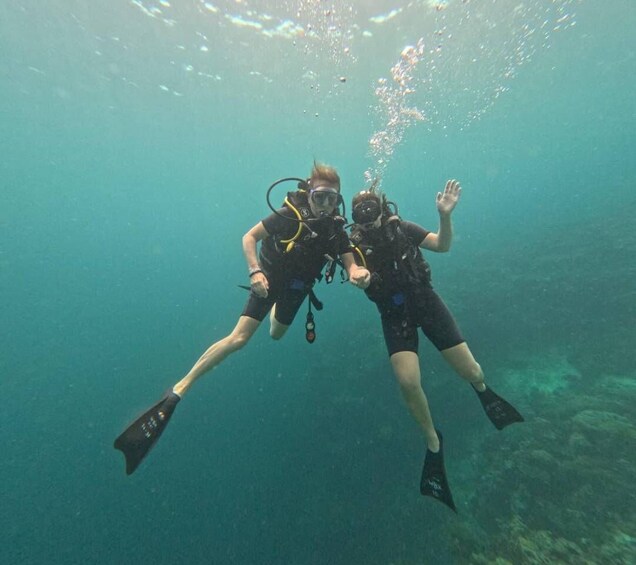 Pemuteran: Menjangan Island Diving Tour 1