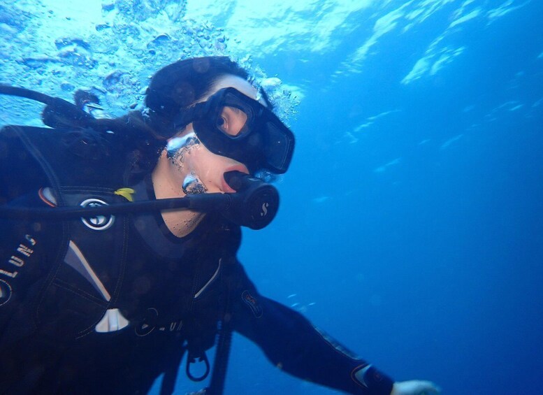 Picture 2 for Activity Pemuteran: Menjangan Island Diving Tour 3