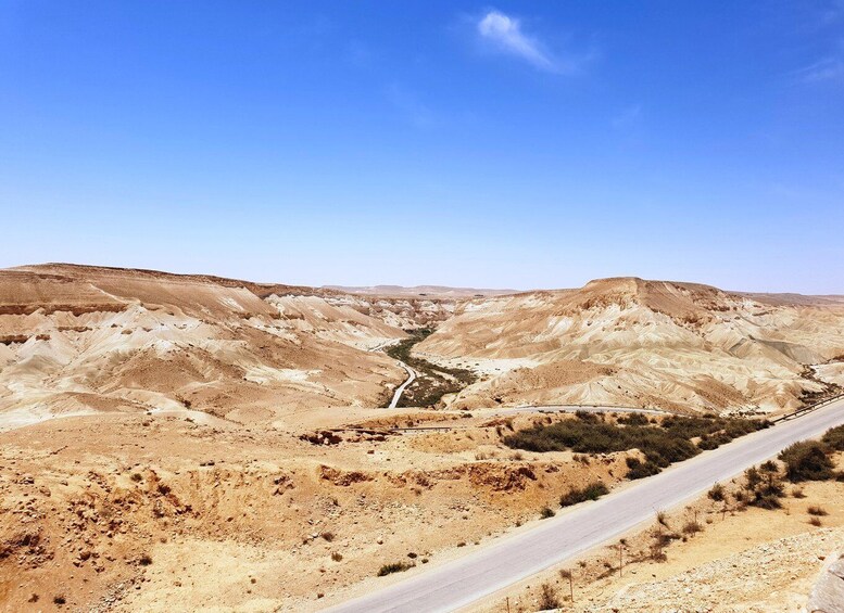 Picture 2 for Activity From Tel Aviv: Negev Desert Private Tour 5