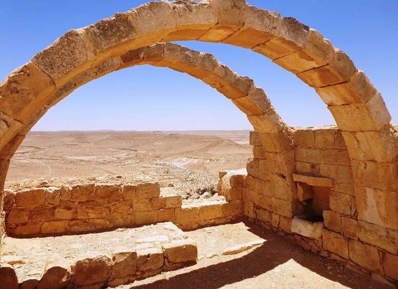 Picture 1 for Activity From Tel Aviv: Negev Desert Private Tour 4
