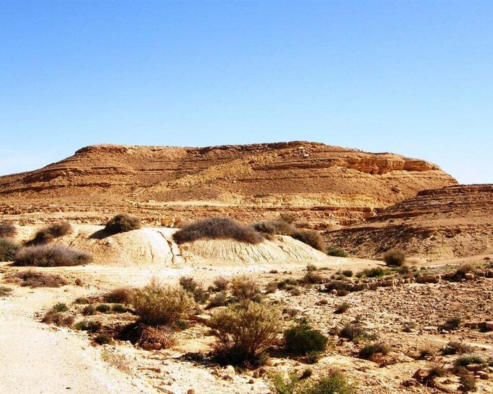 Picture 4 for Activity From Tel Aviv: Negev Desert Private Tour 3