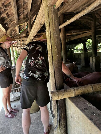 Picture 43 for Activity Phong Nha: Duck Farm Private Tour with BuffaloRide & Fishing 2