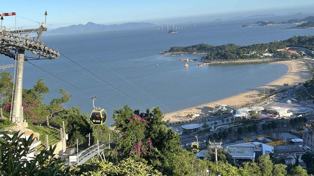 Picture 8 for Activity Zhuhai: Bridge Boat Tour, Qi'ao Island & Lunch Day Trip 4