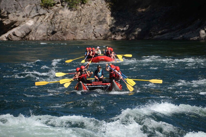 Picture 5 for Activity Wells Gray Park Full-Day Whitewater Rafting Adventure 5