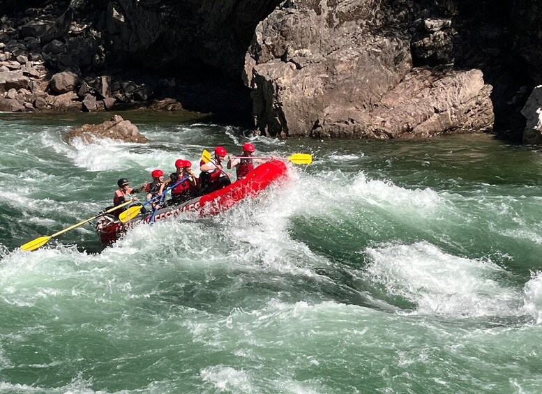 Picture 2 for Activity Wells Gray Park Full-Day Whitewater Rafting Adventure 2