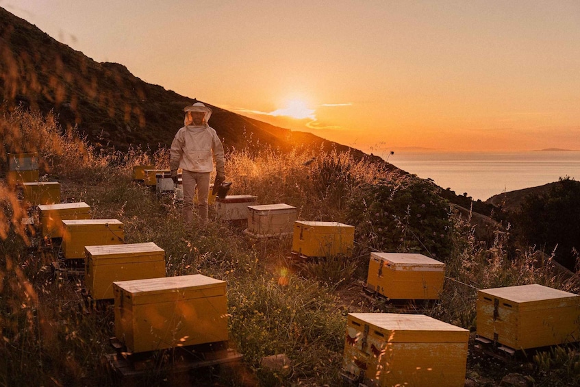 Naxos Olive Oil & Honey Tasting & Farm to Table Breakfast 1