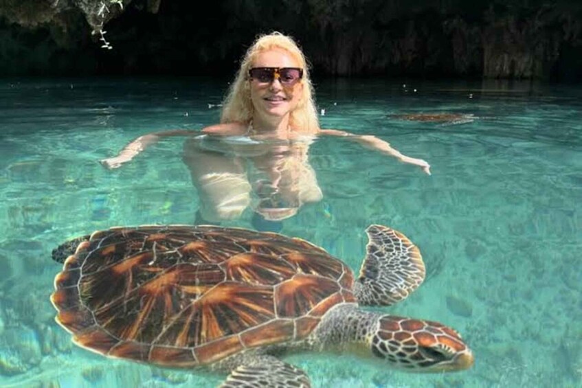 A person swimming with a sea turtle in clear water. 1