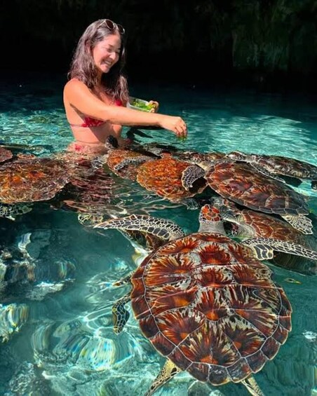 A person swimming with sea turtles in clear water. 5
