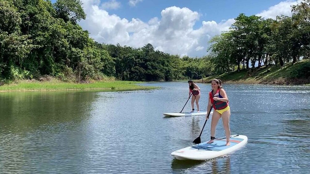 La Fortuna: Lake Arenal Private Stand Up Paddle Tour 1