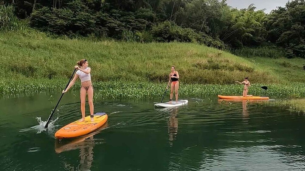 Picture 12 for Activity La Fortuna: Lake Arenal Private Stand Up Paddle Tour 2