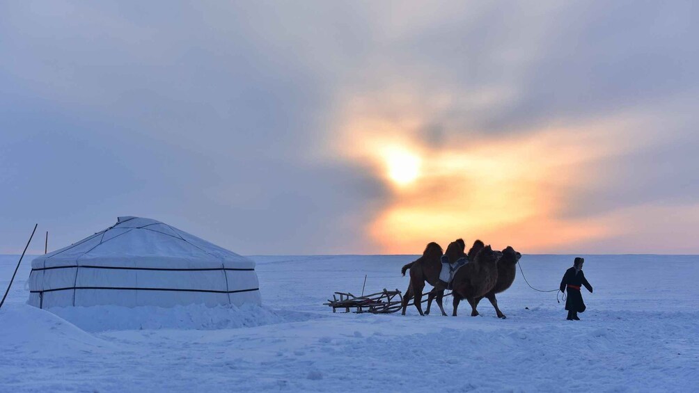 Picture 1 for Activity Inner Mongilia: 6-Day Hulunbuir Private Winter Tour 5