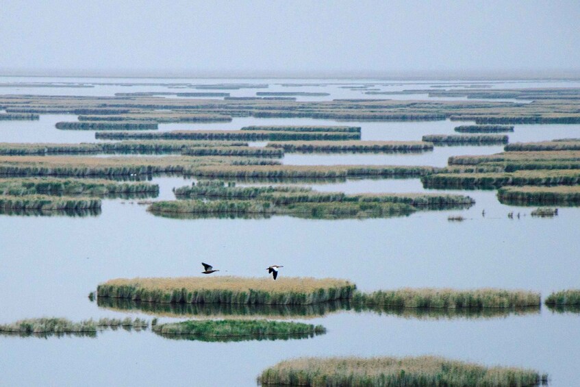 Picture 1 for Activity Nukus: 3-day Aral Sea, Ustyurt Plateau Expedition 4