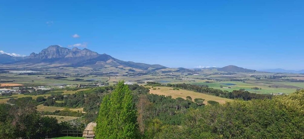 Picture 6 for Activity Paarl/ Wine and Heritage: The Story of Afrikaans 2