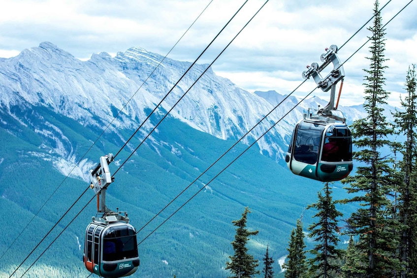 Two cable cars suspended over a mountainous landscape with snow-capped peaks and dense forests. 4