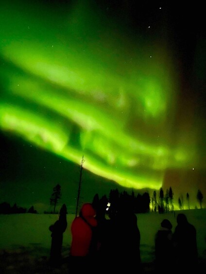 Rovaniemi: Aurora Experience with Snack and Drink 1