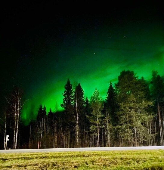 Picture 3 for Activity Rovaniemi: Aurora Experience with Snack and Drink 2