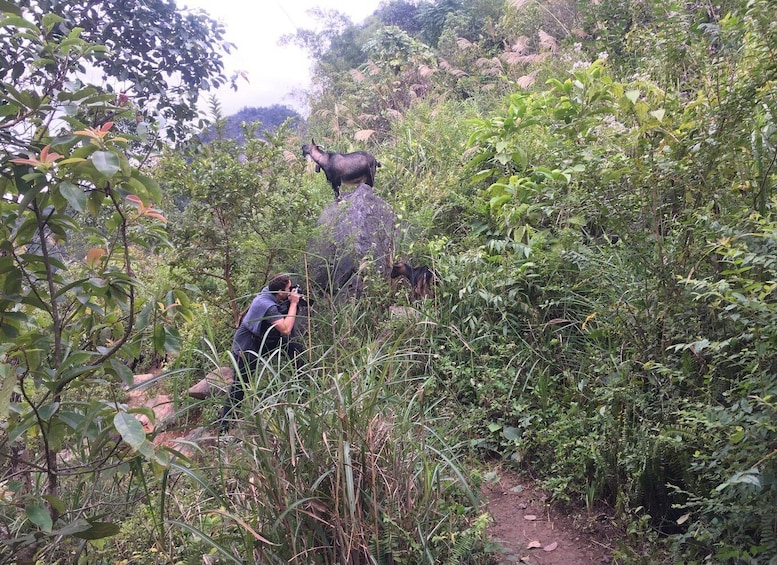 From Ha Noi: Cao Bang Loop Trekking Tour : 2 Day 1 Night 1