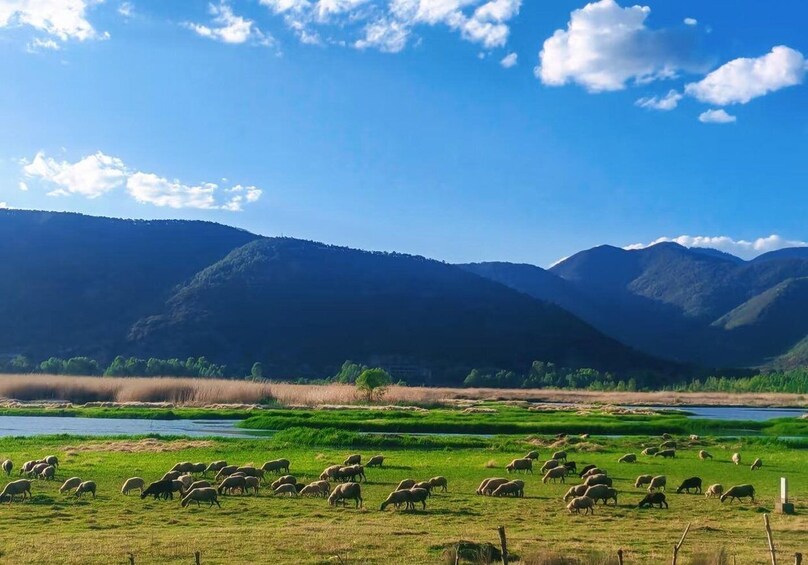 Picture 7 for Activity From Lijiang: Lugu Lake Day Trip with Boat Ride 3