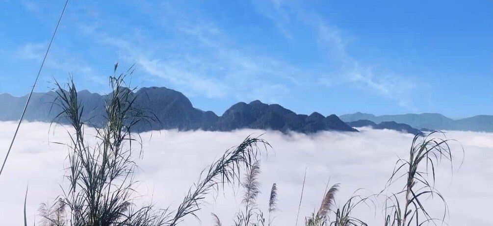 Picture 8 for Activity Son Ba Muoi & Pu Luong Culture & Trek 3 Days 2 Nights 3
