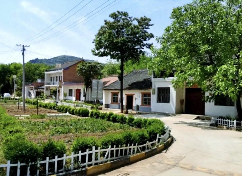 Picture 4 for Activity Xi'an: Terracotta Warriors and Lintong Village Tour 4