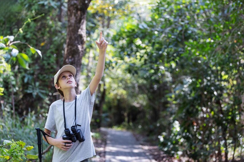 A person pointing upwards in a forested area, holding binoculars. 5