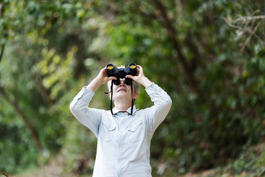 A person holding binoculars in a forested area. 2