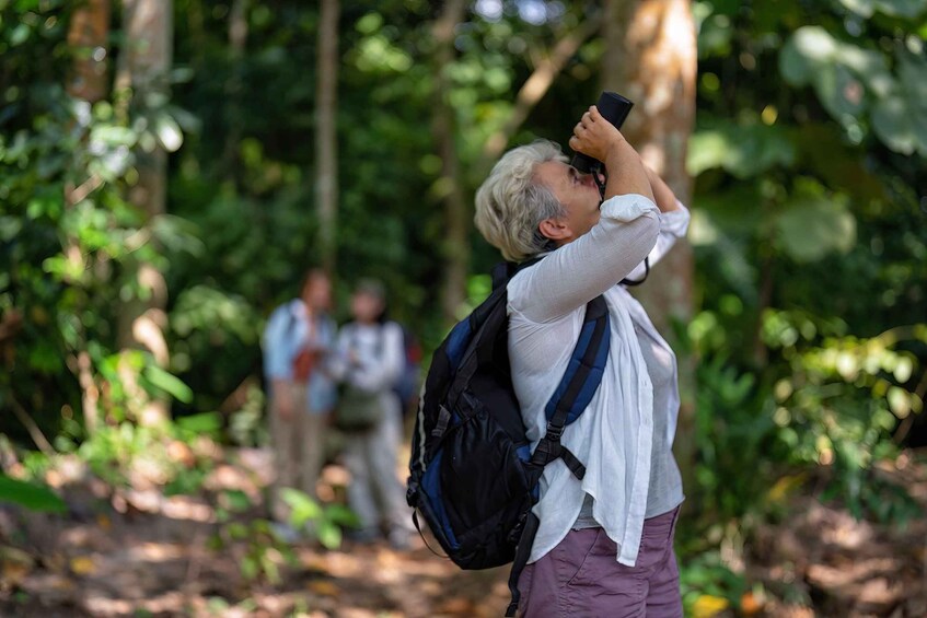 Picture 3 for Activity São Paulo: Endangered Black Lion Tamarin Wildlife Tour 4